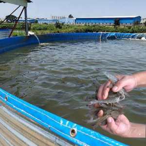 <span class=keywords><strong>Lona</strong></span> de PVC resistente a la corrosión recubierta de <span class=keywords><strong>estanque</strong></span> de peces galvanizado tanques de agua de gran capacidad para piscicultura de camarones al aire libre - Product Image 5