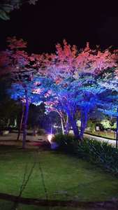 Luces Decorativas para Árboles con Teñido Decorativo IP65 para Parques Temáticos, Festividades y Calles Culturales - Product Image 1