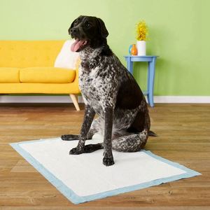 Tapis d'entraînement jetable pour chiots et chiens d'intérieur avec base en bois – Tailles S/M/L/XL - Product Image 2