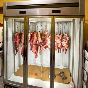 <span class=keywords><strong>Congélateur</strong></span> Réfrigérateur à Haute Efficacité et Vitrine Réfrigérée pour Viande avec Compartiments - Product Image 5