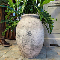 Jardinière en terre cuite enduite vintage Plante verte classique pour bureau, patio et jardin pour l'extérieur