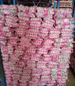 Nueva cosecha de ajo blanco puro fresco y ajo blanco normal, precio de ajo al por mayor más bajo, Alho Ail Ajo - Product Image 5