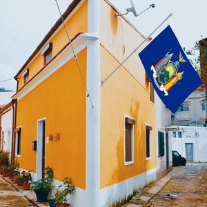 Bandera de Nueva <span class=keywords><strong>York</strong></span> Impresa de 3x5 pies, de una sola cara, estilo banderín, con logotipo personalizado, hecha de poliéster y vinilo duradero para exhibición nacional - Product Image 3