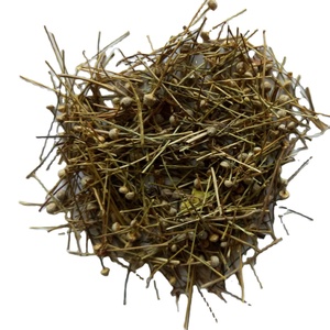 Gu jing cao nuovo essiccato Pipewort naturale Eriocaulon buergererianum globo di infiorescenza fiori per erbe - Product Image 1