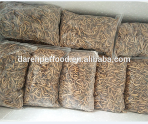 Superworm allevati in fattoria ad alta nutrizione mangime ideale per rettili uccelli e piccoli animali domestici - Product Image 5