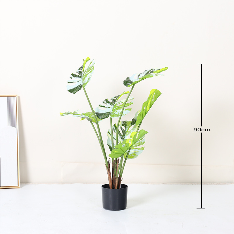 Feuille de Monstera à bords blancs - 90cm