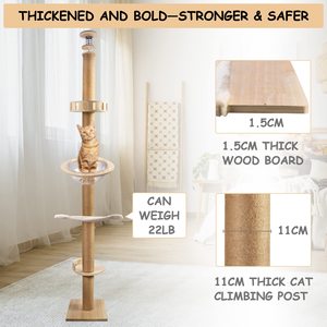 Grande Struttura per Gatti Petdom, Albero da Arrampicata Multilivello Moderno con Tiragraffi e Struttura da Soffitto - Product Image 6