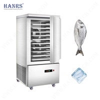 2025 Hanrs Refroidisseur d'air de choc cryogénique à congélation rapide pour les fruits de mer et la volaille dans l'industrie