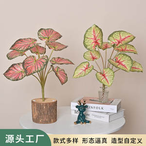 ดอกไม้<span class=keywords><strong>ป</strong></span>ระดิษฐ์ใบแตงโมแอ<span class=keywords><strong>ป</strong></span><span class=keywords><strong>เปิ้</strong></span><span class=keywords><strong>ล</strong></span>ฮิมิอุปกรณ์ตกแต่งผนัง<span class=keywords><strong>ต้น</strong></span>ไม้กระถางขนาดเ<span class=keywords><strong>ล</strong></span>็ก - Product Image 2