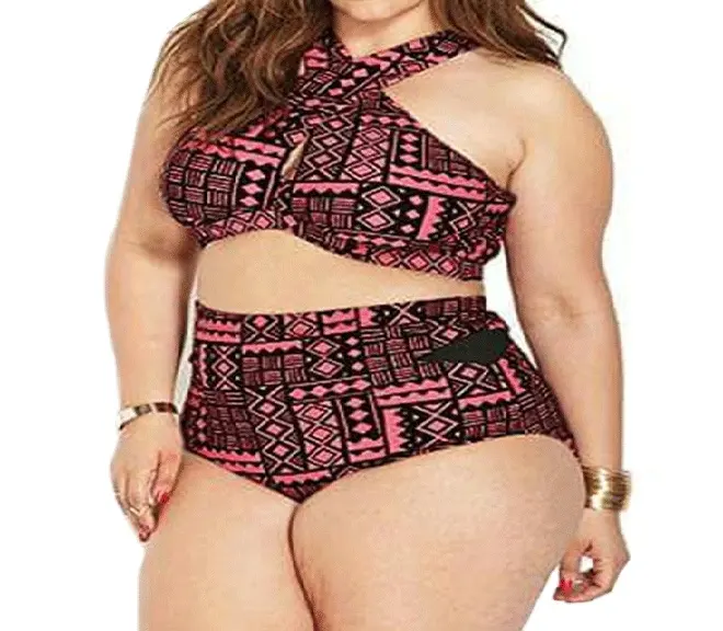CUSTOM New hot women plus size bikini 2 pieces high waist print swimwear sexy bikini bathing suits OEM