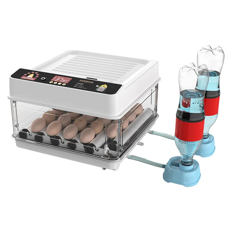 30 Capacity Automatic Water Supply Egg Incubator Egg Hatching Machine