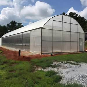 Grande Serra per Coltivazione di Ortaggi, Tunnel Idroponico, Copertura in Plastica a Singolo Strato per Agricoltura - Product Image 1