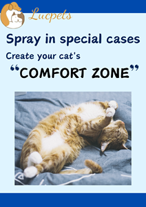 Les phéromones peuvent aider les chats à identifier rapidement les «zones sûres» et à réduire leur peur des espaces inconnus - Product Image 5