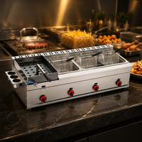 Grille à poulet au gaz en acier inoxydable de qualité commerciale, simple, avec friteuse grande et petite pour cuisine de restaurant