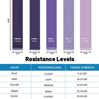 Ensemble de 5 bandes de résistance élastiques pour entraînement, étirement, force et rééducation