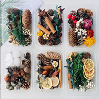 Kit de fleurs séchées DIY pour Noël, cône de pin naturel, bâton de cannelle, tranche d'orange séchée, fournitures artisanales botaniques