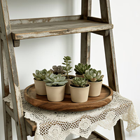 Plateau décoratif pour plantes de style nordique, plateau en bois 22 x 15 x 2 360 °   Plateau rotatif en bois massif, plateau à gâteau en bois
