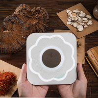 Lijitang magnétique nombril autocollants aimant paresseux nombril autocollants 10 pièces naturel à base de plantes corps entier désintoxication minceur patchs