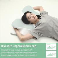 Housse de coussin brodée personnalisée pour dormir, oreiller orthopédique confortable en forme de papillon, oreiller cervical en mousse à mémoire de forme avec accoudoirs