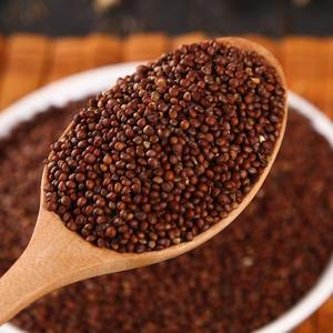 Mangime Naturale per Uccelli di Perilla Pura Biologica Direttamente dal Produttore con Processo di Essiccazione Avanzato - Product Image 2