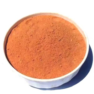 Polvere di Pomodoro Naturale Essiccata Premium in Bulk, Grado Alimentare 100MESH, Durata 24 Mesi, per Uso Culinario e Salutare, Ricca di Nutrienti - Product Image 1