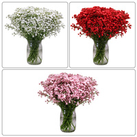 Bunga Baby's Breath Merah Segar, Warna Tidak Berbeda, Dipetik di Hari yang Sama, untuk Hadiah Wanita