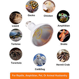 Yeni fabrika fiyat HID <span class=keywords><strong>UV</strong></span> lamba 35W/50W/70W/100W sürüngen ısı ampul uvb lambalar sürüngenler için - Product Image 2