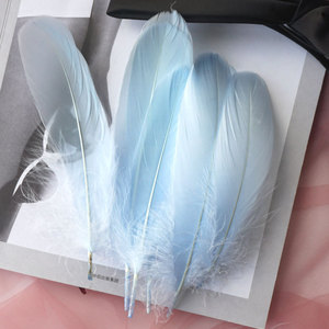 10-18Cm Nhuộm Lông Ngỗng Tự Làm Dreamcatcher Tự Nhiên Chất Lượng Cao Lông Phụ Kiện Lễ Hội Lông Cho Hàng Thủ Công - Product Image 3