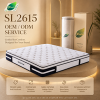 Matelas à ressorts ensachés confortable et moelleux avec mousse de soutien, emballé sous vide dans un carton, disponible en tailles Queen, King et Full pour mobilier de chambre moderne