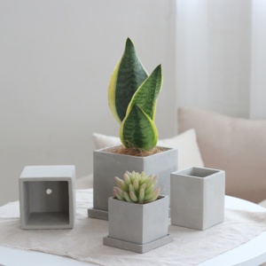 Nordico stile semplice decorazione da tavolo per interni forma quadrata fioriera <span class=keywords><strong>cemento</strong></span> piante succulente <span class=keywords><strong>vasi</strong></span> con foro - Product Image 5