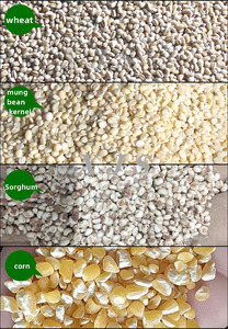 Décortiqueuse de céréales pour usage domestique et mini-fermes : blé, <span class=keywords><strong>sarrasin</strong></span>, avoine, haricots, riz - Product Image 6