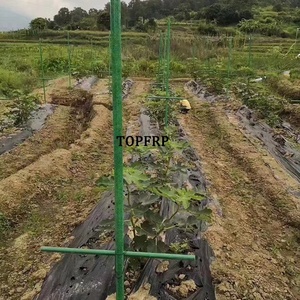 FRP <b>Rod</b> Agriculture Fiberglass Planting Stake - Product Image 6