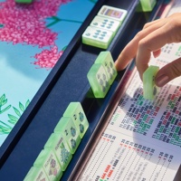 Mahjong américain sur mesure Garden Glow - Jeu de tuiles de mahjong de luxe pliables en acrylique écologique de 160 pièces couleur Matcha Pearl pour le voyage