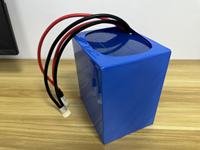 제조업체의 120wh/kg 나트륨 이온 배터리 33140 3.0V 셀 M6 스터드 키트 10ah 33140 3.0V 셀 M6 스터드 키트 홀더 바 32140