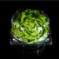 Boîte transparente à clapet en forme de carpe, conteneur pour 1 brelot d'herbes, de salade, de lettrage, romain,