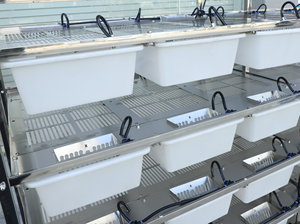 Vendita calda di plastica laboratorio animale ratto vasche da riproduzione con sistema Rack gabbia per topi vasca con sistema di abbeveraggio - Product Image 2