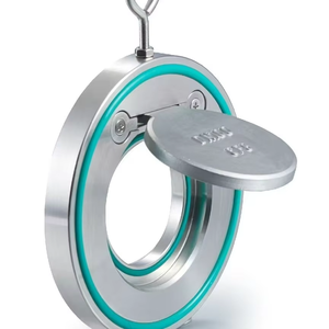 Válvula de Retención de Placa Única de Alta Calidad, Venta Caliente en China, Sello EPDM PTFE para Agua o Medios Químicos, Cuerpo de Acero Inoxidable SS304 DI DN80 - Product Image 2