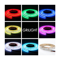 Bande LED COB RVB couleur pleine, intelligente et adressable, en cuivre, DC12V/24V, pour éclairage paysager