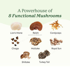 Integratore di Funghi in Caramelle Gommose OEM, Criniera di Leone, Cordyceps, Chaga, Energia Naturale, Vegano, Non-OGM, 60 Pezzi - Product Image 4