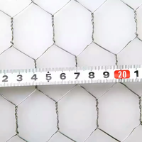 Grillage hexagonal de poulet/grillage hexagonal de poulet pour le fabricant de ferme