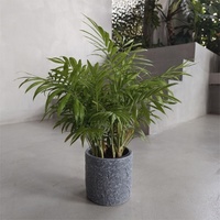 Juego de 3 Macetas de Flores de Hormigón Minimalistas de Alta Calidad, Color Gris Texturizado, Ecológicas, para Interiores/Exteriores, para Decoración del Hogar y Jardín