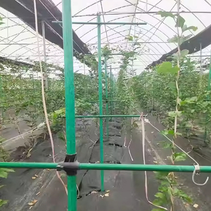 Agricultural Hollow Passion Fruit Garden Support <b>Rod</b> FRP Material Glass Fiber Tube Customizable Cutting for Tree Vegetable - Product Image 1