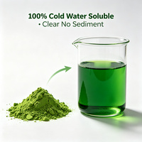 SUPER GREENS Extrait de poudre d'herbe d'orge et de chlorophylle 10:1, séché à l'eau, qualité alimentaire, en fût plastique, ISO/HALAL, OEM, en vrac