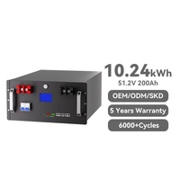 Batterie LiFePO4 en rack 51,2 V 200 Ah 10,24 kWh pour stockage solaire avec BMS RS485/CAN Bluetooth WiFi, crête 150 A, 6000+ cycles, pour réseau hybride