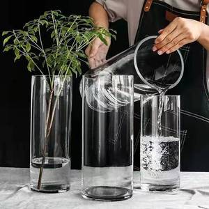 <span class=keywords><strong>Vase</strong></span> <span class=keywords><strong>en</strong></span> <span class=keywords><strong>verre</strong></span> <span class=keywords><strong>transparent</strong></span> droit de grande taille de haute qualité Salon Chambre à coucher Sol <span class=keywords><strong>Vase</strong></span> hydroponique Vente <span class=keywords><strong>en</strong></span> gros - Product Image 1