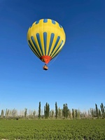 Montgolfière gonflable géante à hélium du fabricant chinois Tailles 5m/8m pour promotions Garantie 1 an