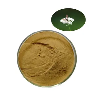China Factory Supply Cnidium Monnieri Fruit Extract 10:1 Cnidium Monnieri Extract Powder