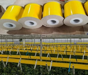 Trampa Adhesiva Amarilla de Doble Cara para Control de Plagas Insectos en Invernaderos, Rollo de <span class=keywords><strong>Cinta</strong></span> Adhesiva para Moscas - Product Image 4