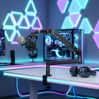 Support de microphone métallique pour podcast, fixation antichoc deux-en-un, tête rotative à 360 degrés, support de bureau durable pour blogueur et diffusion en direct