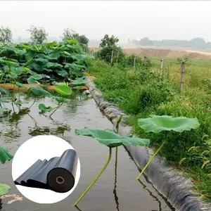 China machte Verkaufs preis HDPE Geo membran Fish Pond Liner, die einer Vielzahl von Wetter-und Wasser bedingungen standhalten